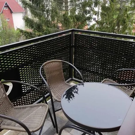 Magic Nest Apartment