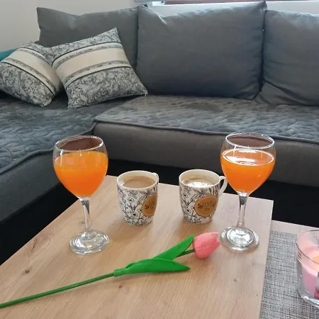 Magic Nest Apartment Palisat