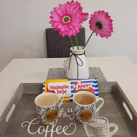 Apartment Magic Nest