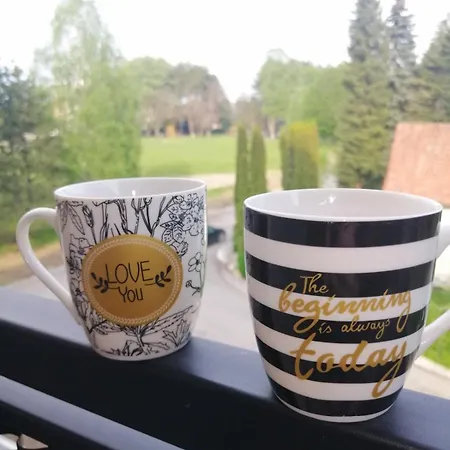 Magic Nest Apartment *