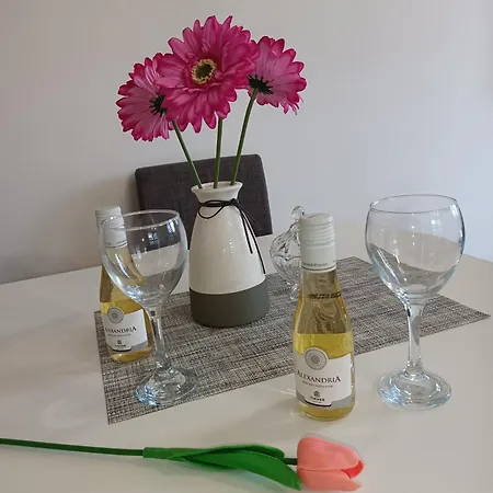 Magic Nest Apartment