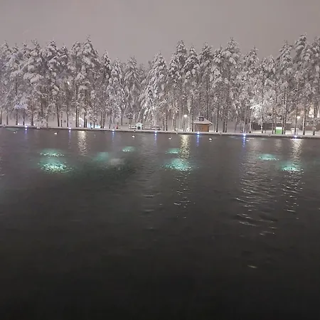 Magic Nest * Palisat