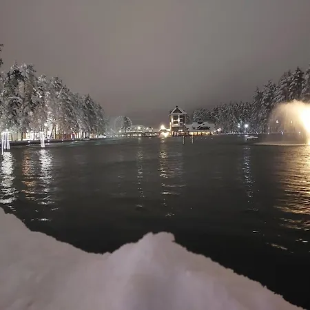 Magic Nest Apartment