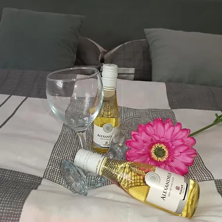 Apartment Magic Nest