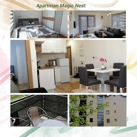 Magic Nest *