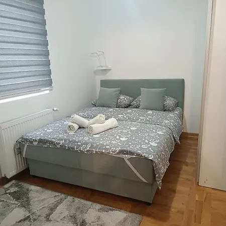 Magic Nest * Palisat