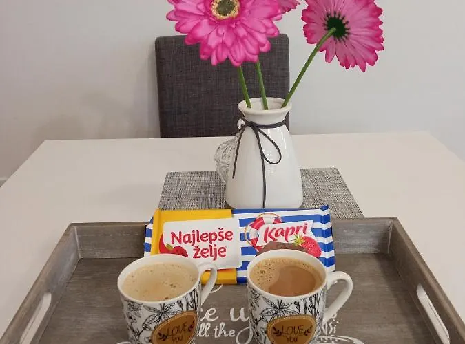 Appartement Magic Nest