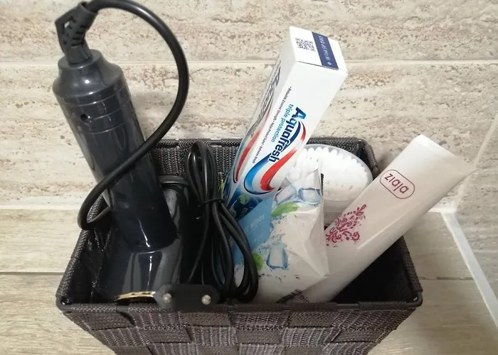 Magic Nest * Palisat