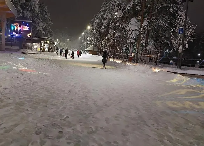 Magic Nest * Palisat