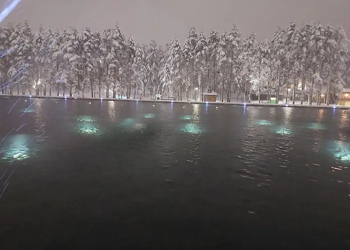 Magic Nest * Palisat