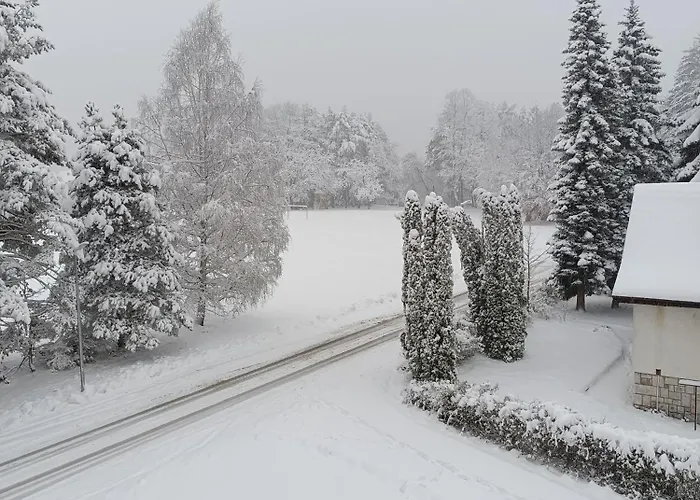 Appartement Magic Nest *