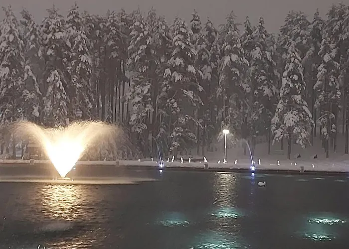 Magic Nest * Palisat