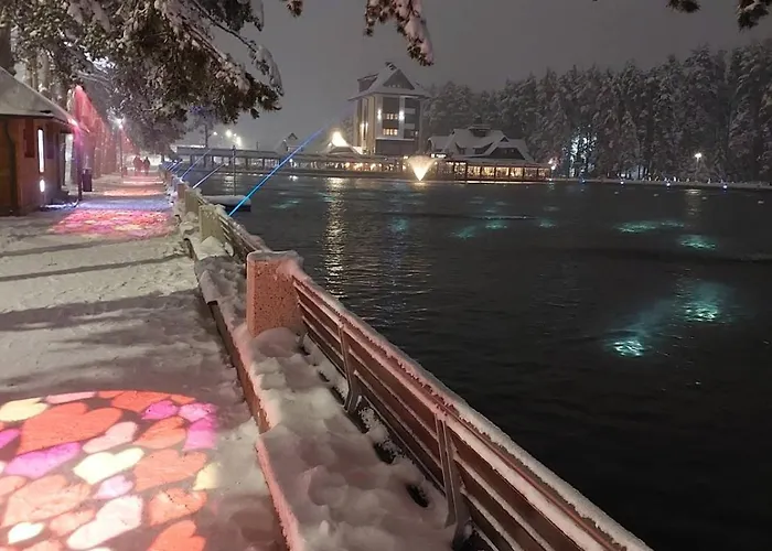 Magic Nest * Palisat