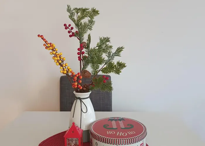 Magic Nest * Palisat