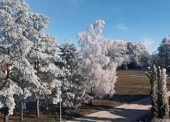 Appartement Magic Nest