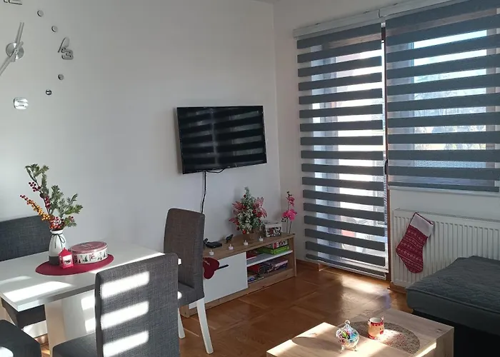 Magic Nest * Palisat